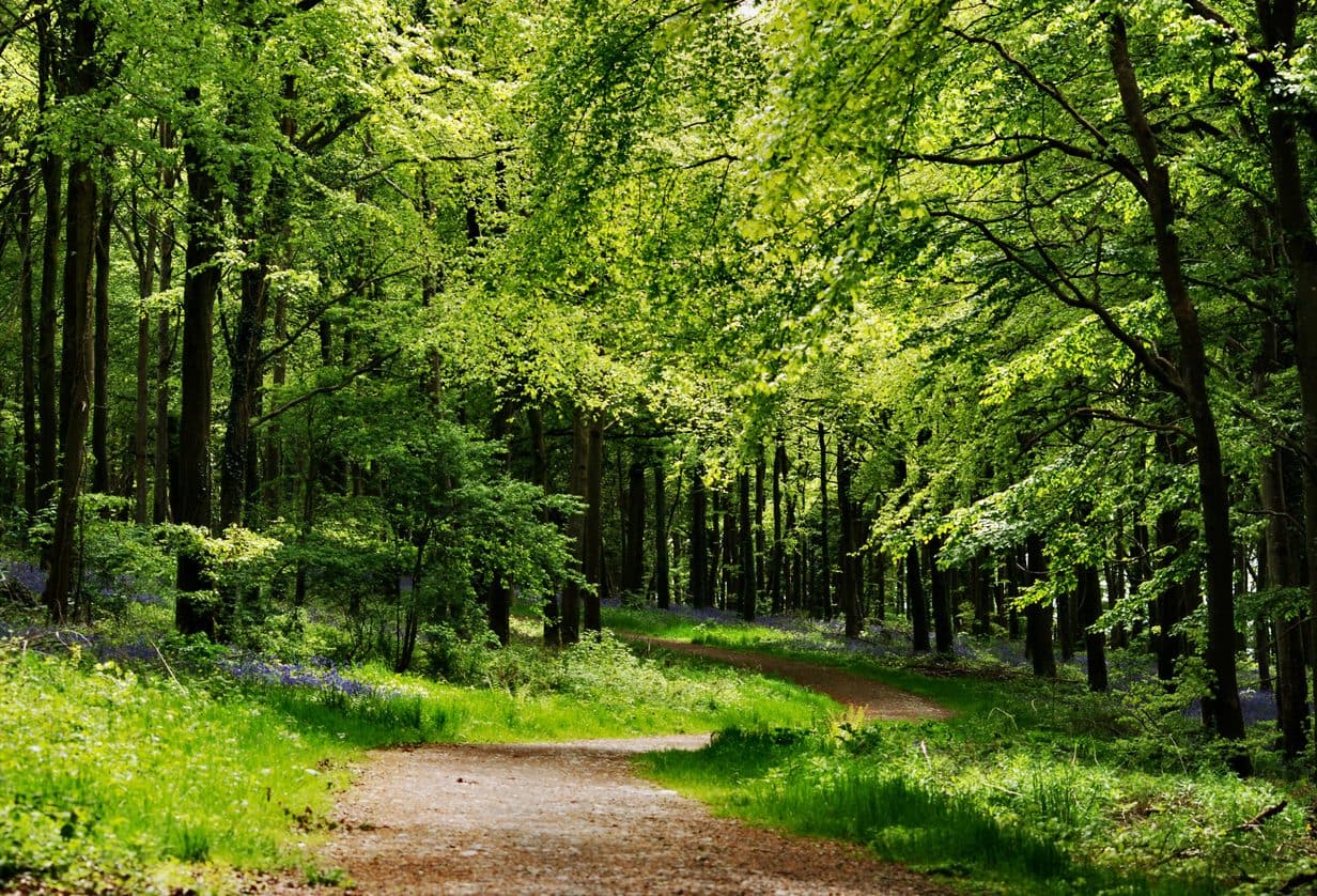 Hauaplatside hooldus