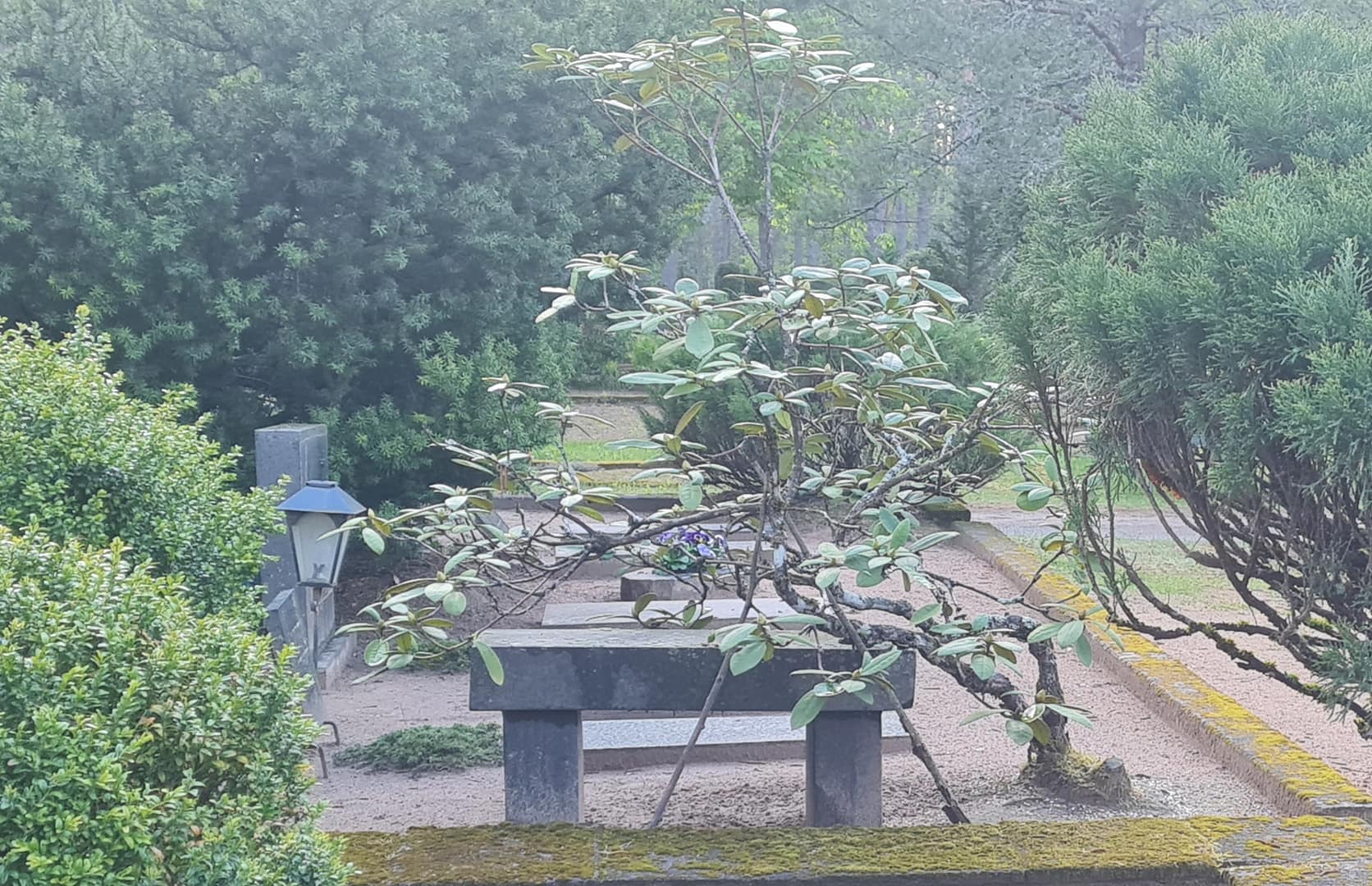 Valga linn Toogipalu kalmistu