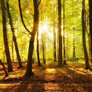 Küünla süütamine