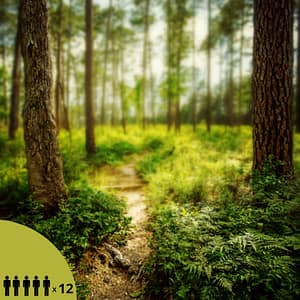 Hooajaline hauaplatsi hooldamine 5 ja enam kohta (12 x aastas)