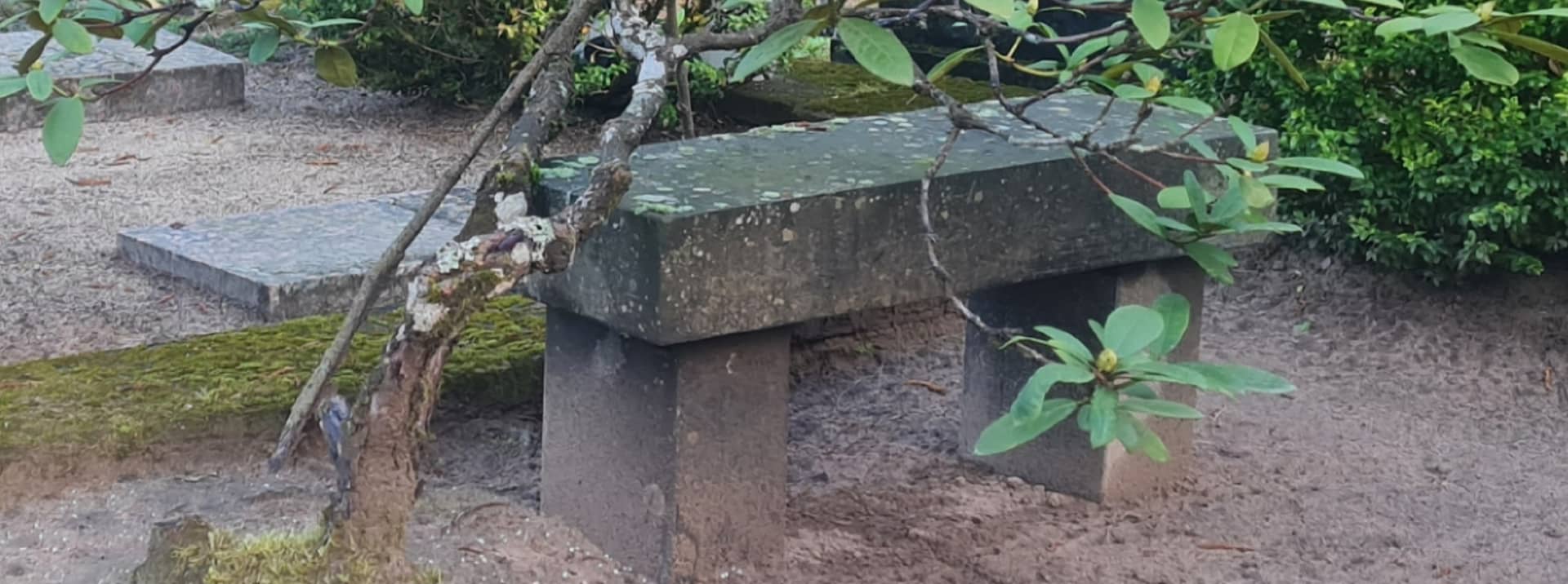 Foto Valga linn, Toogipalu kalmistu Olen pikalt vaadelnud surnuaias asuvaid pinke. Need tagasihoidlikud istumiskohad on palju enamat kui lihtsalt praktilised ob